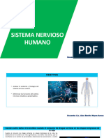 5 Sec. IV Bim. Biologia Sistema Nervioso Humano