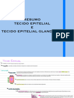 Resumo Tecido Epitelial E Tecido Epitelial Glandular