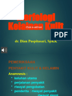 Morfologi Kelainan Kulit 1