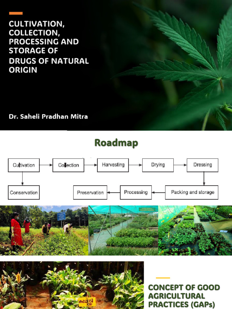 Cultivation Methods for Medicinal Plants | PDF | Soil | Weathering