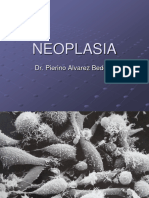 PATOLOGIA-Clase N°6-Neoplasia