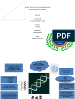 Acidos Nucleicos
