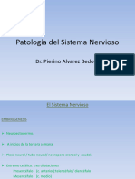 PATOLOGIA-Clase N°15-Patologia Del Sistema Nervioso