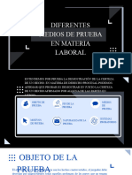 Diferentes Medios de Prueba en Materia Laboral