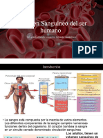 Volumen Sanguíneo Del Ser Humano