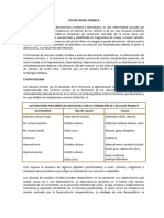 Litiasis Renal