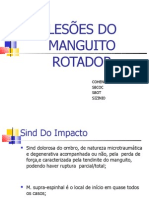 Manguito-Sind Do Impacto