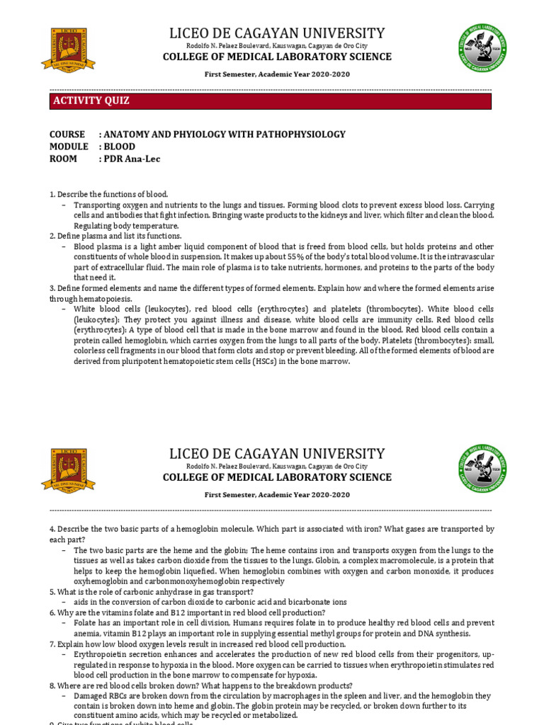 Worksheet Forms | PDF | Blood Type | Blood