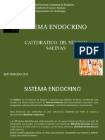 Sistema Endocrino