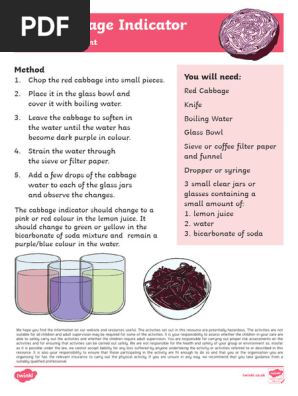 Science Experiment