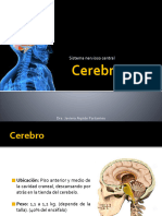 Cerebro