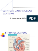 Anfis Jantung