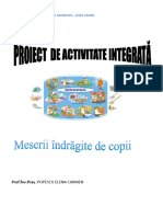 Proiect Meserii