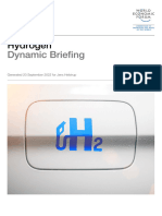 WEF - Dynamic Briefing - Hydrogen