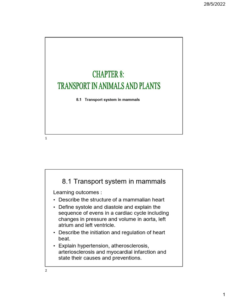 Transport System in Mammals Notes | PDF | Lymphatic System | Ventricle
