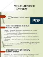 2.1.criminal Justice System