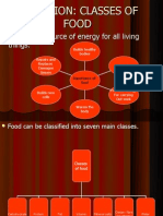Nutrition: Classes of Food: Food Is The Source of Energy For All Living Things