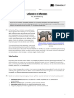 Edited - Criando - Elefantes-Teacher-12