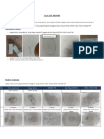 Deffect Sample Test Report 22.07.22