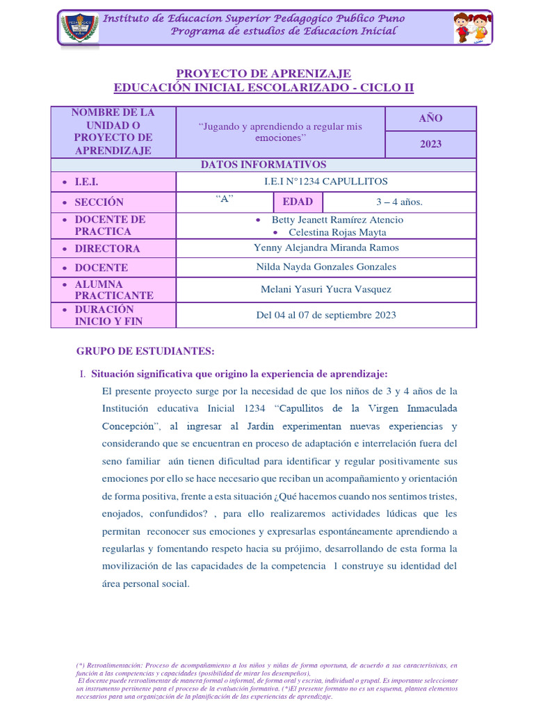 Emociones | PDF | Educación de la primera infancia | Evaluación