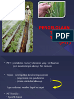 Pengelolaan Tanaman Terpadu Dipadu