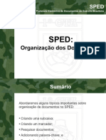 Organização Dos Documentos