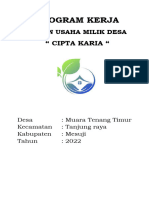 Progrm Kerja BUMDesa Master