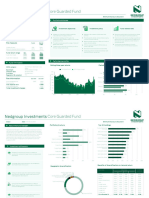 Nedgroup Investments Core Guarded Fund B