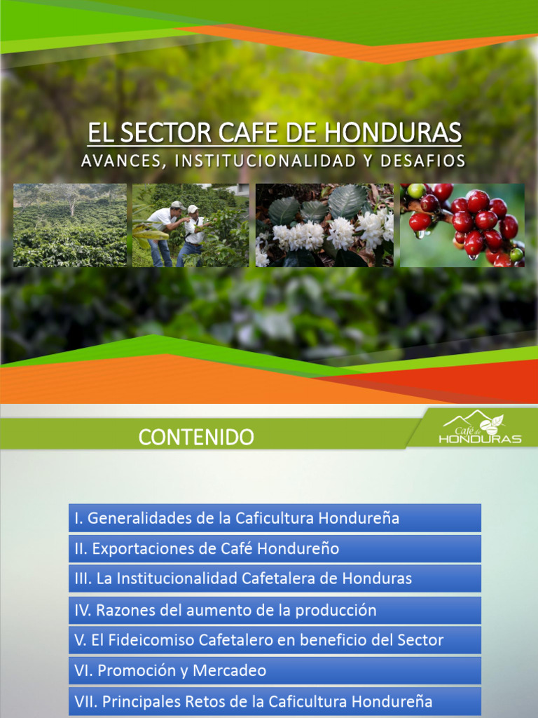 7th Forum Coffee Sector Honduras C | PDF | café | Honduras