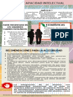 Discapacidad Intelectual Infografia