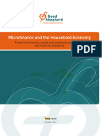 Microfinance Household Economy