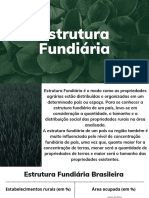 Estrutura Fundiária