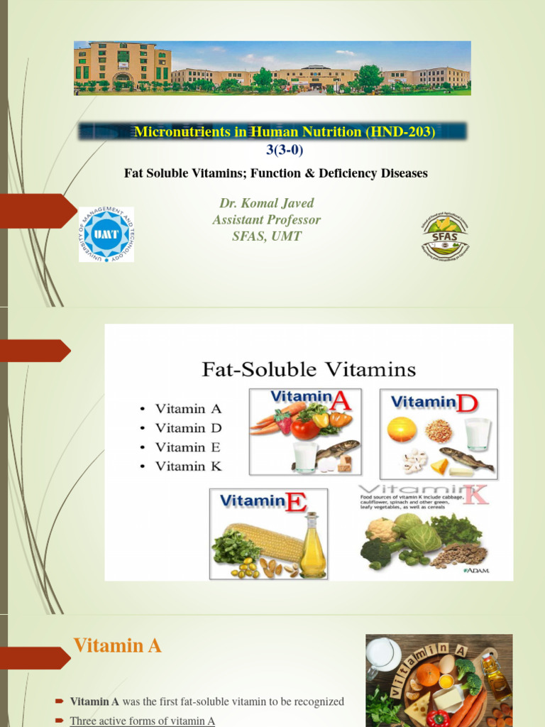 HND-203 (Vitamin A | PDF | Vitamin A | Retinal