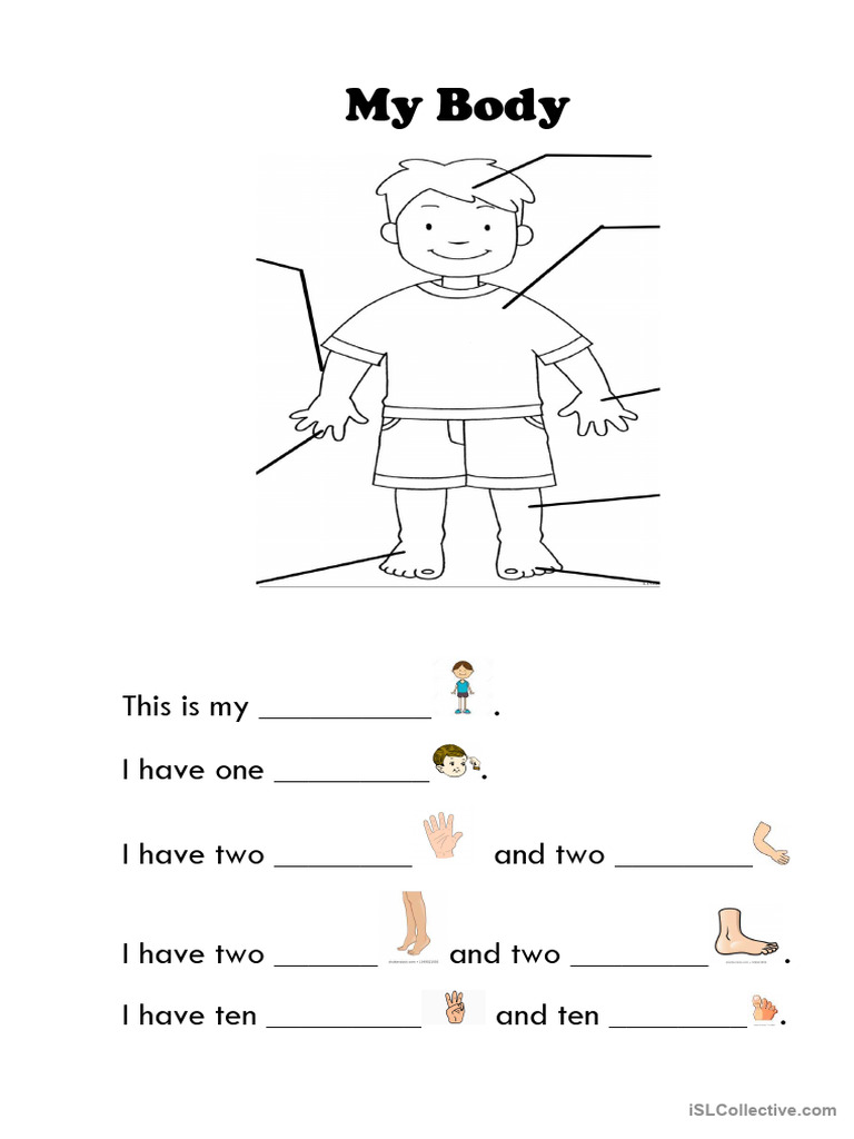 My Body | PDF