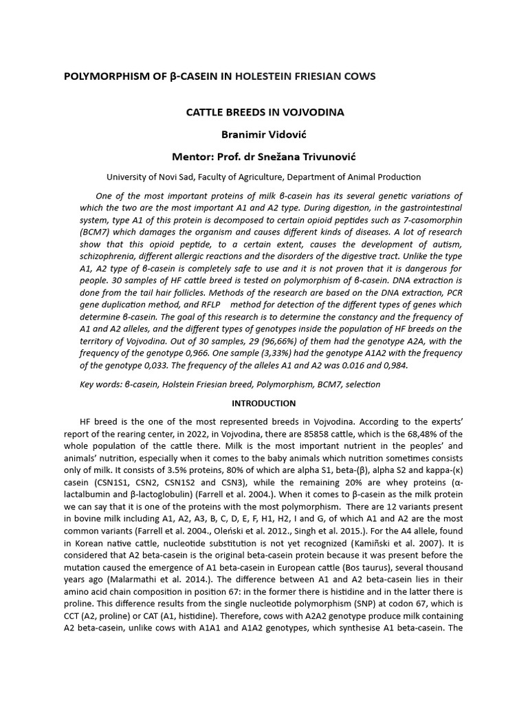 Prevod Pdf Na Doc