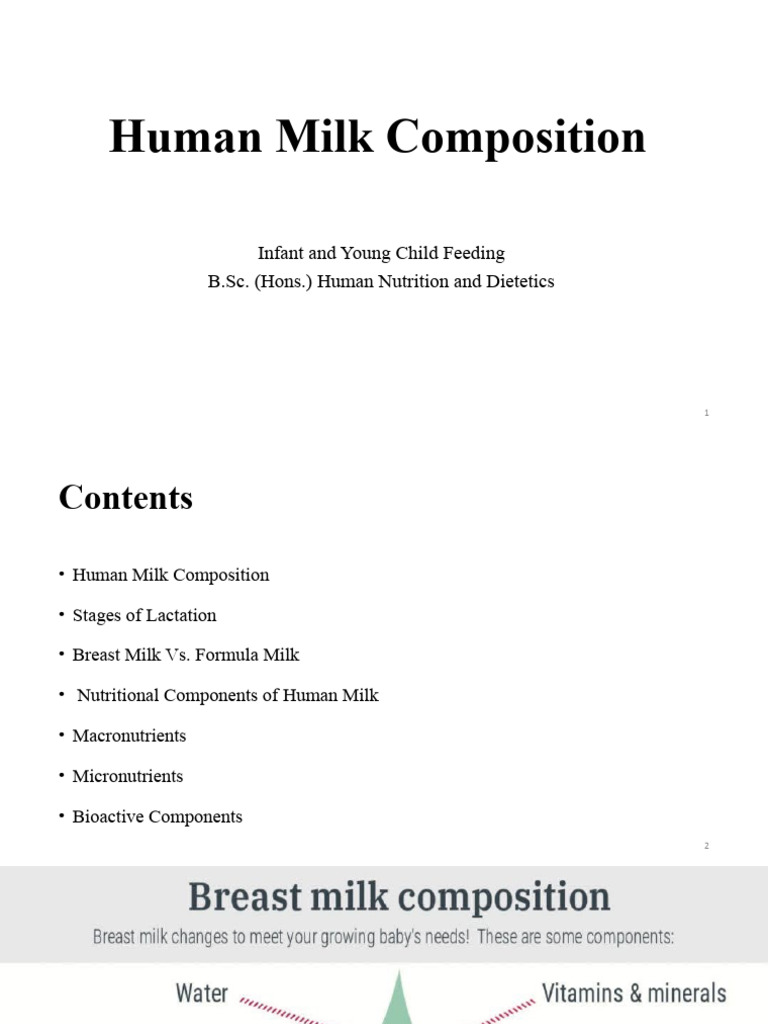 Human Milk Composition PDF Breast Milk Nutrients