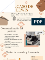 Brown Beige Playful Illustration Advocacy Pet Adoption Presentation