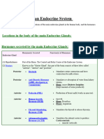 Endocrine Glands in Human Beings