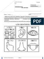 Guia de Aprendizaje de Ciencias N5 Los Sentidos