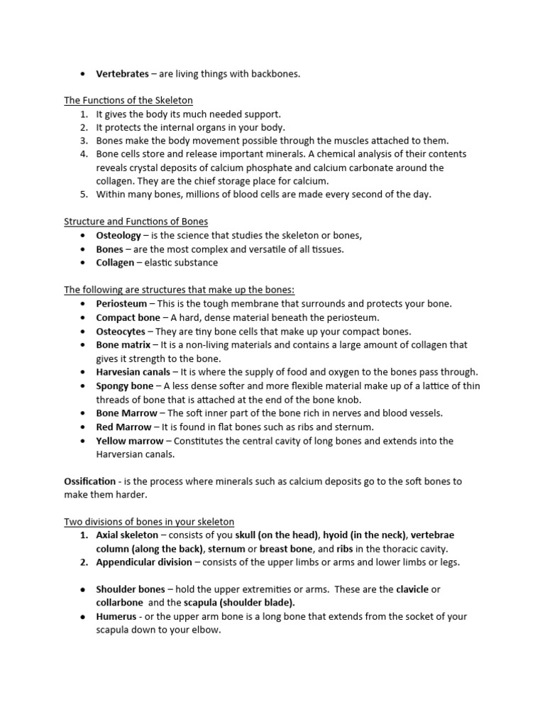 Skeletal System and Muscular | Download Free PDF | Bone | Skeleton