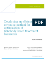Developing An Efficient Screening Method For Optimization of Nanobody-Based Fluorescent Biosensors (Master Thesis Vincent 2022)