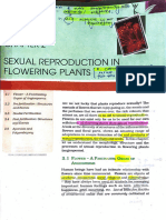 Reproduction in Flowering Plants