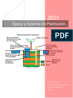 Época y Sistema de Plantación Recomendado para El Estado