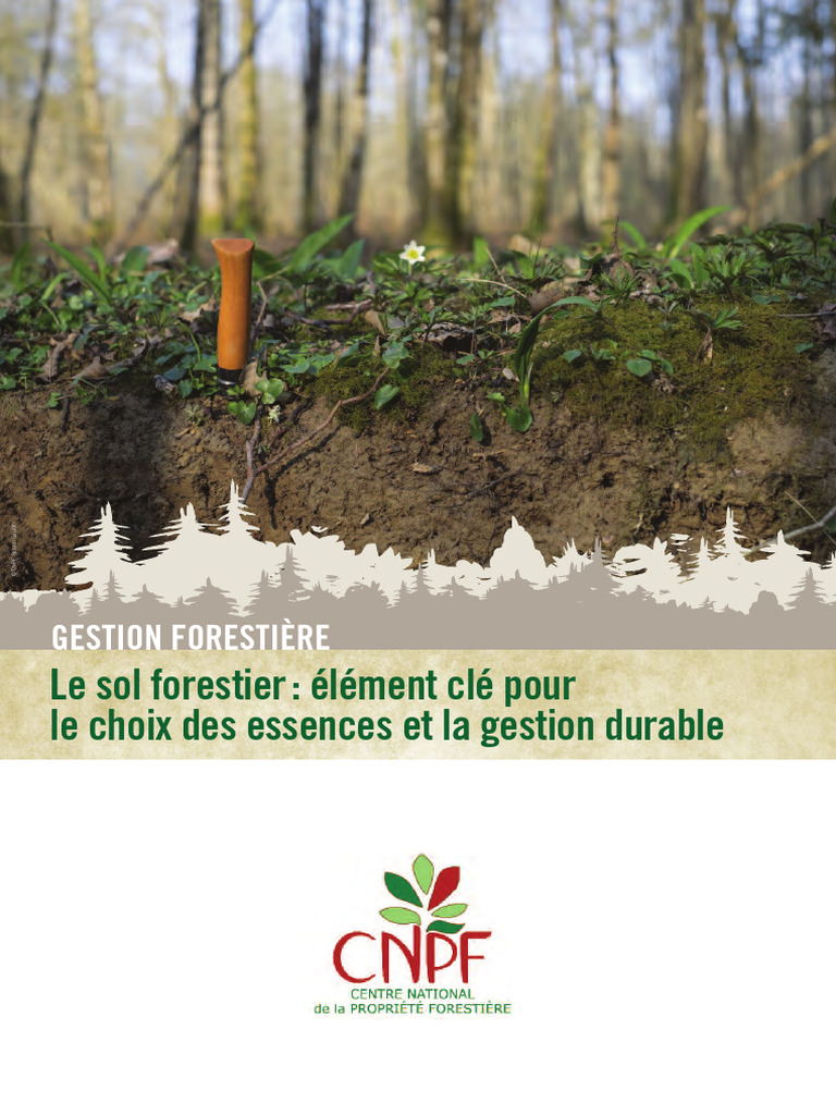Sol forestier et gestion durable | PDF | Sol (pédologie) | Racine