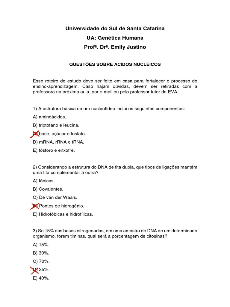 Questões sobre Ácidos Nucleicos | PDF