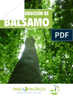 Guide For Producers For Balsamo Production Spanish