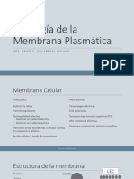 Fisiología de La Membrana Plasmática