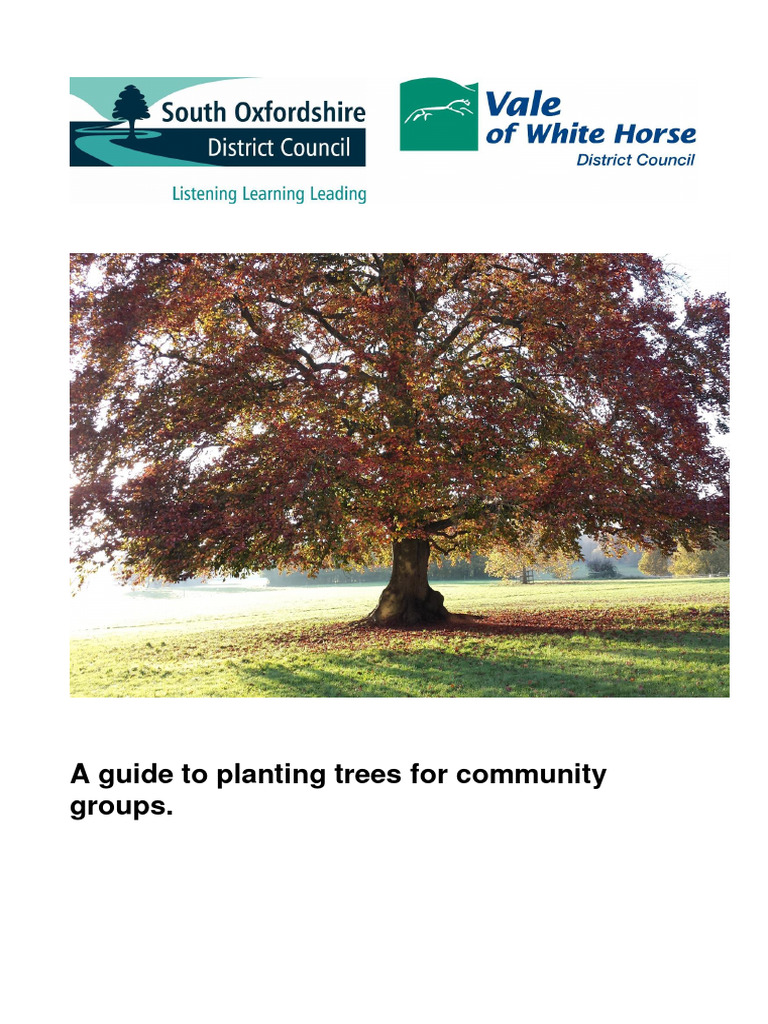 Community Tree Planting Guide | PDF | Trees | Mulch