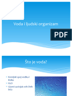 Voda I Ljudski Organizam