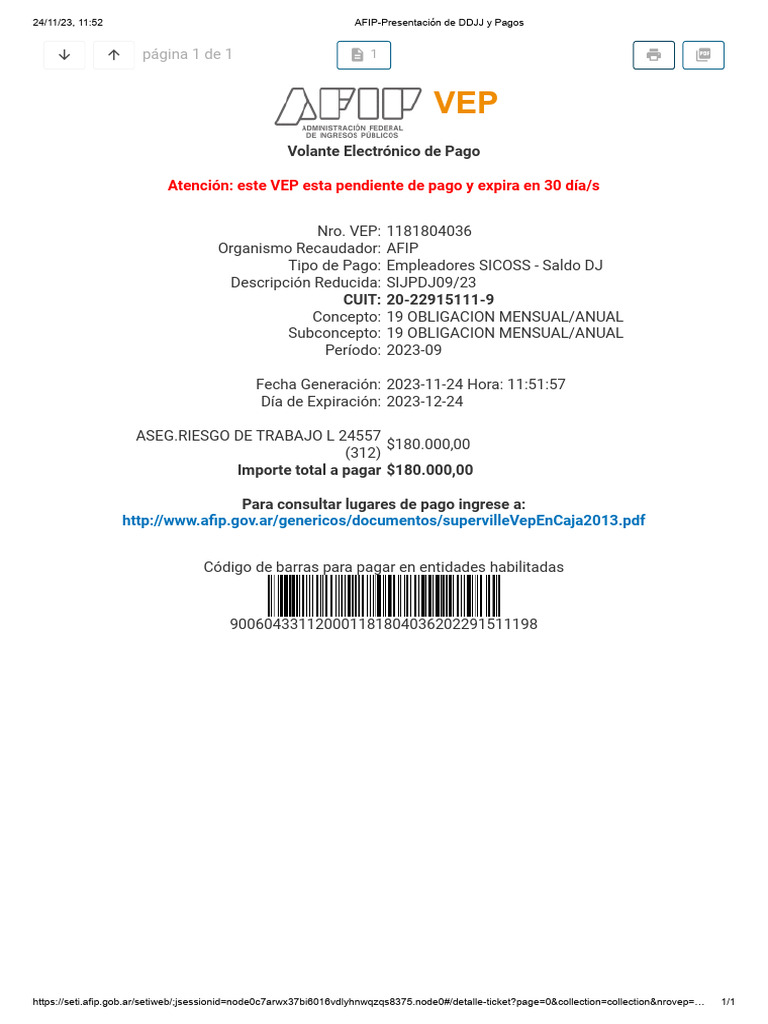 AFIP-Presentación de DDJJ y Pagos | PDF